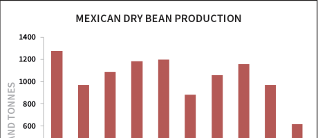 Mexican Dry Bean Production